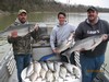 (03/21/2015) - Nice Striped Bass